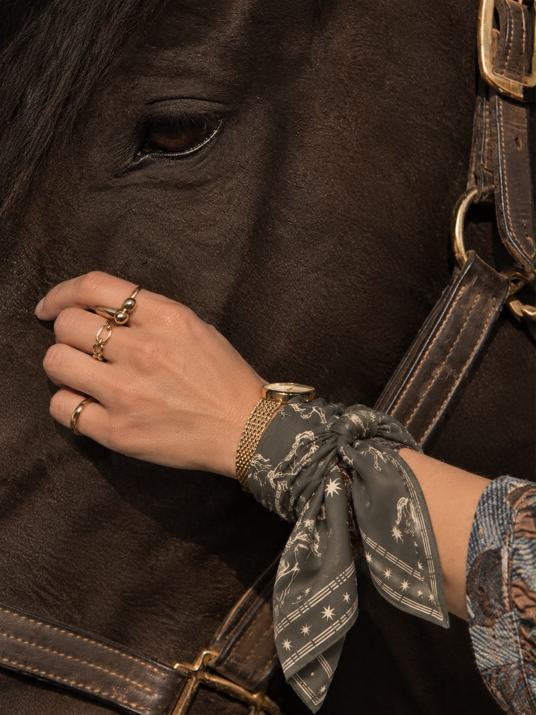 Equestrian Elegance